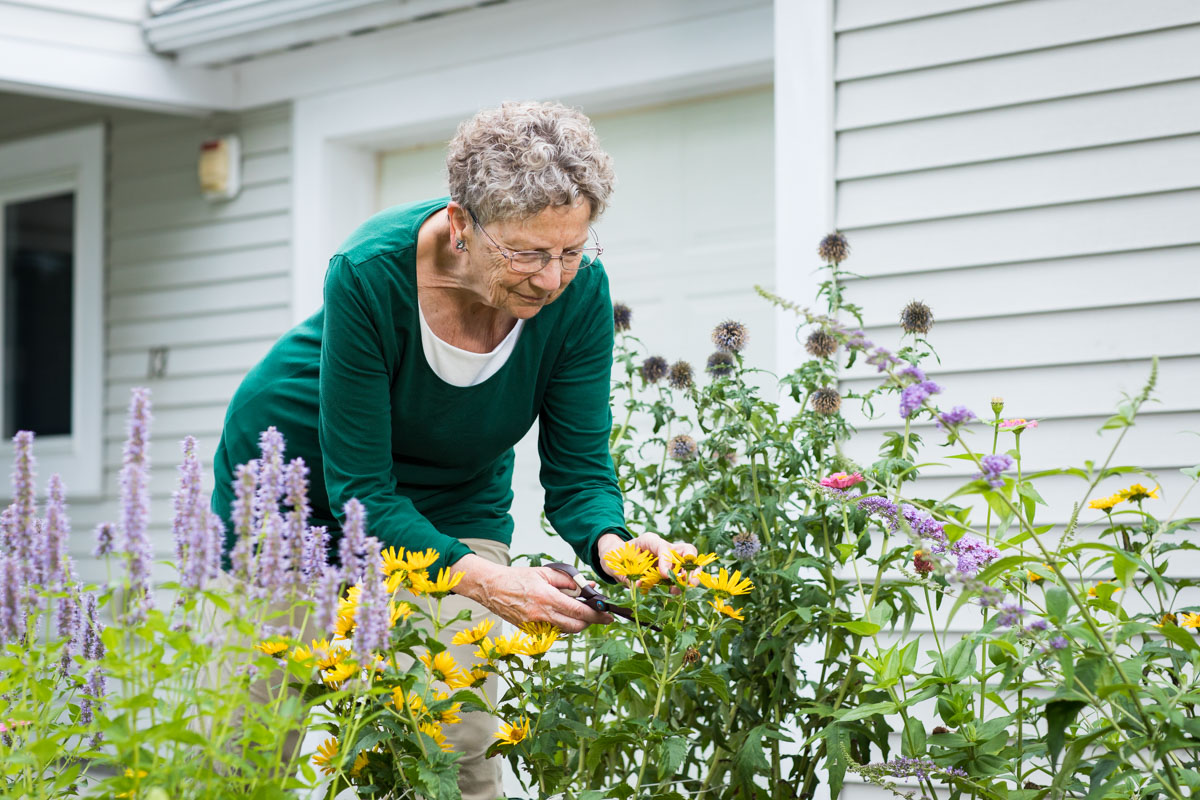 woman cutting flowers