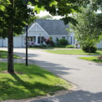Cranberry lane in Easthampton