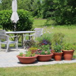 back patio of townhome with flower pots and table