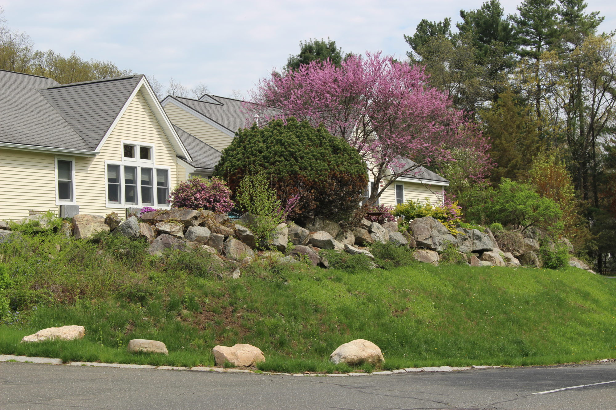 townhome on the hill in northampton