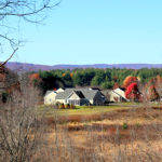 mulberry lane in november