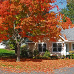 Northampton townhome in the fall