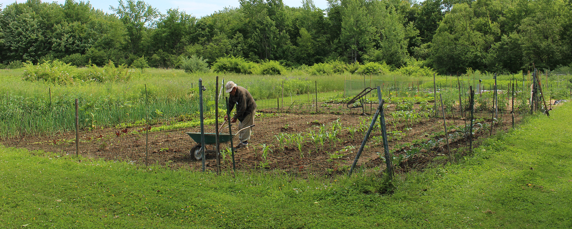 Lathrop community garden